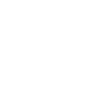 ari logo