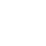 virtual logo2